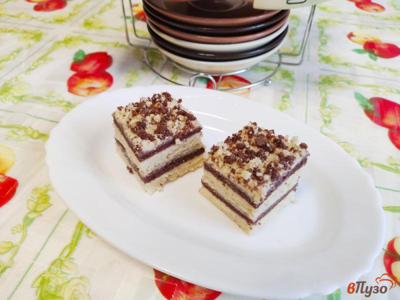 Фото приготовление рецепта: Торт с коржами двух цветов и кремом Пломбир шаг №17