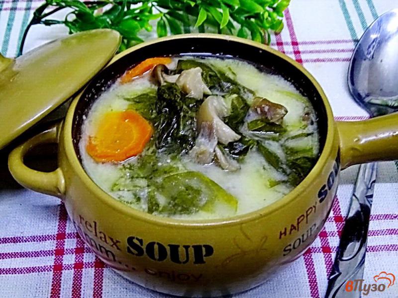 Фото приготовление рецепта: Суп из вещенок шпината и плавленого сыра шаг №10
