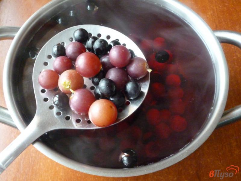 Фото приготовление рецепта: Компот из винограда с терном шаг №3
