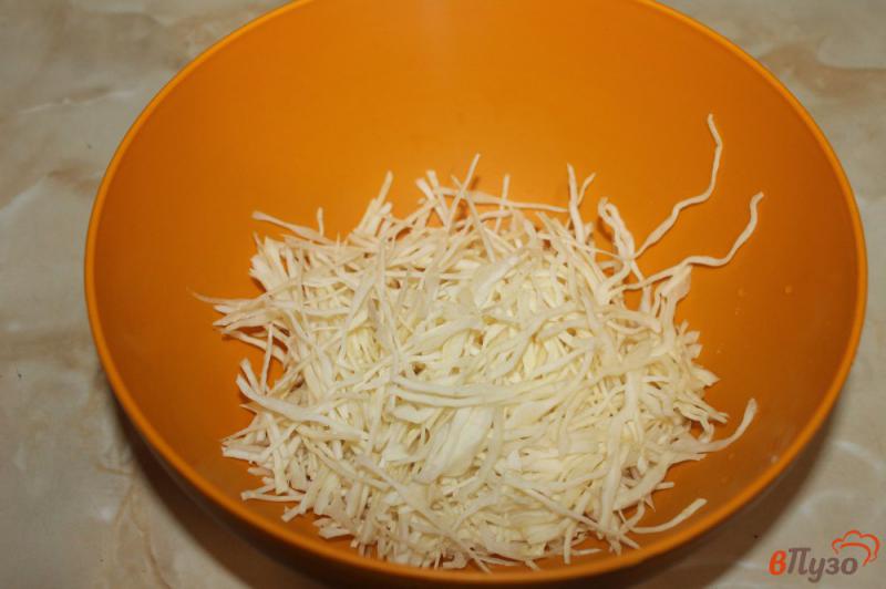 Фото приготовление рецепта: Салат из белокочанной и пекинской капусты с овощами шаг №1