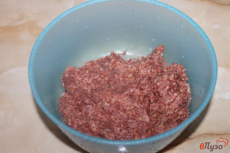 Фото приготовление рецепта: Мясные зразы с куриной печенью в заморозку шаг №1