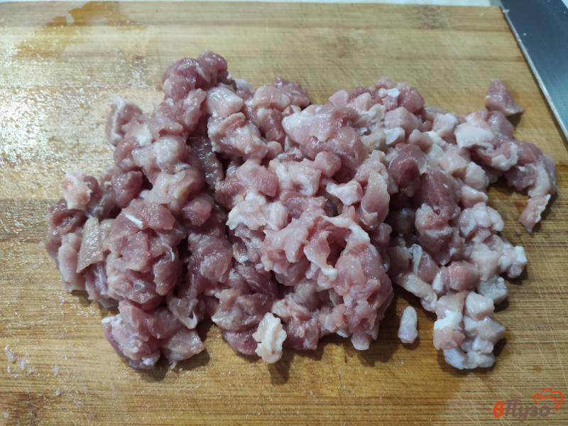 Фото приготовление рецепта: Рубленные котлеты из свинины с соевым соусом шаг №1