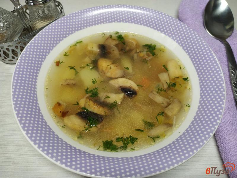 Фото приготовление рецепта: Суп с вермишелью и грибами на курином бульоне шаг №10