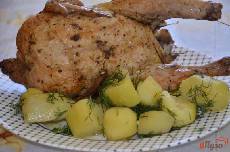 Фото приготовление рецепта: Курица запеченная в духовке целиком шаг №5