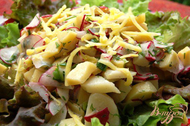 фото рецепта: Картофельный салат с редиской и зеленью