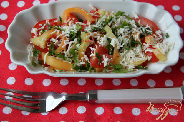 фото рецепта: Салат из помидоров с брынзой