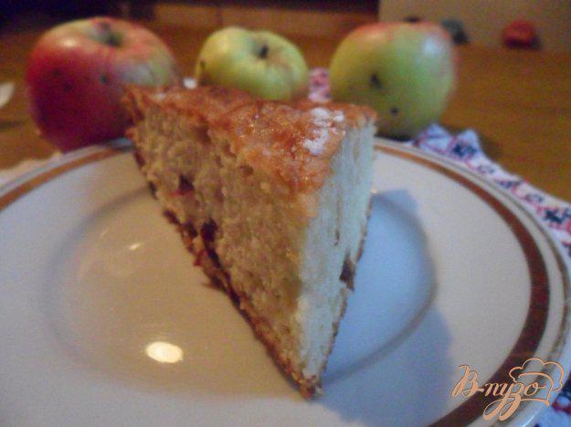 фото рецепта: Шарлотка с яблоками и сушёной вишней