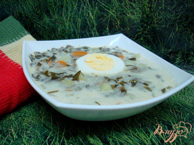фото рецепта: Щавелевый суп с рисом