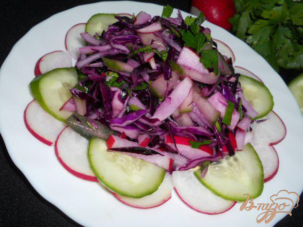 фото рецепта: Салат из краснокочанной капусты, огурца и редиса