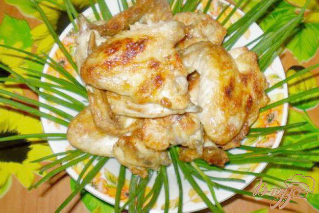 фото рецепта: Шашлык куриный на кефире с чесноком