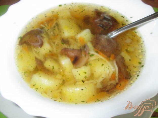 фото рецепта: Суп грибной с маслятами и шампиньонами