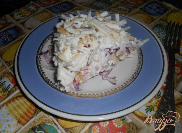 фото рецепта: Салат луковый с яблоком и колбасным сыром