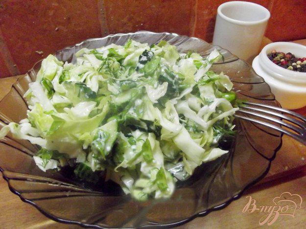 фото рецепта: Зеленый салат с салатом латук