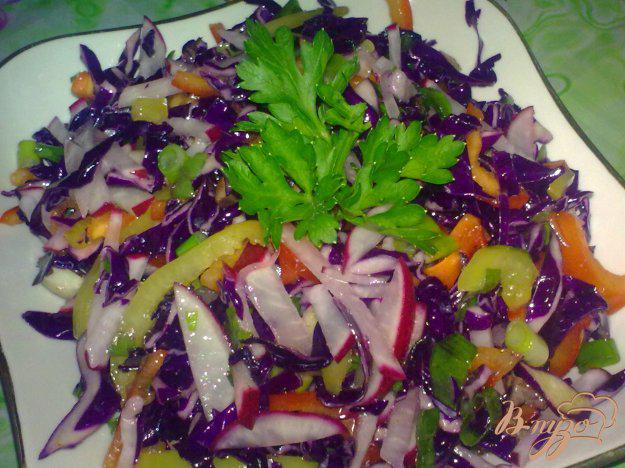 фото рецепта: Салат из краснокочанной капусты с редисом