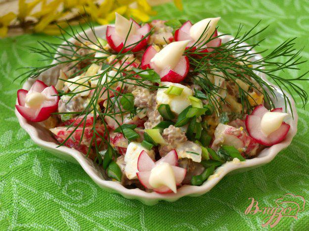 фото рецепта: Мясной салат с редисом
