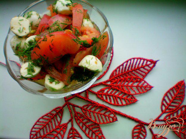 фото рецепта: Салат с моцареллой и помидорами