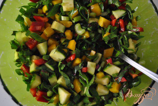 фото рецепта: Салат из перцев и зелени