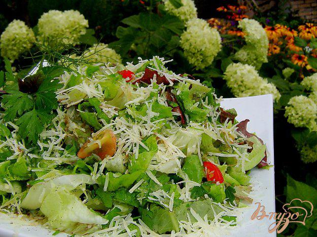 фото рецепта: Зеленый салат с помидорами черри и пармезаном