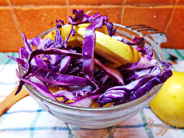 фото рецепта: Салат из яблок с фиолетовой капустой