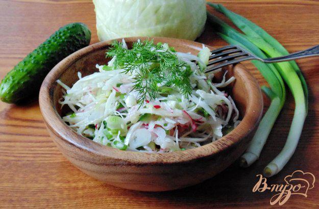 фото рецепта: Салат  с огурцами и свежей капустой