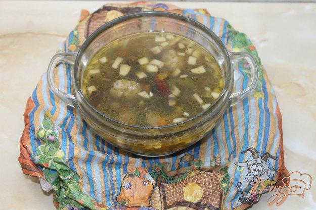 фото рецепта: Суп с шампиньонами и мясными фрикадельками