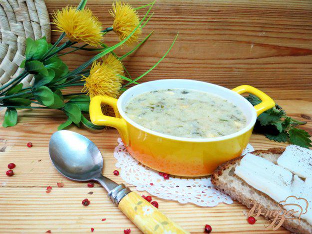 фото рецепта: Суп с крапивой и щавелем