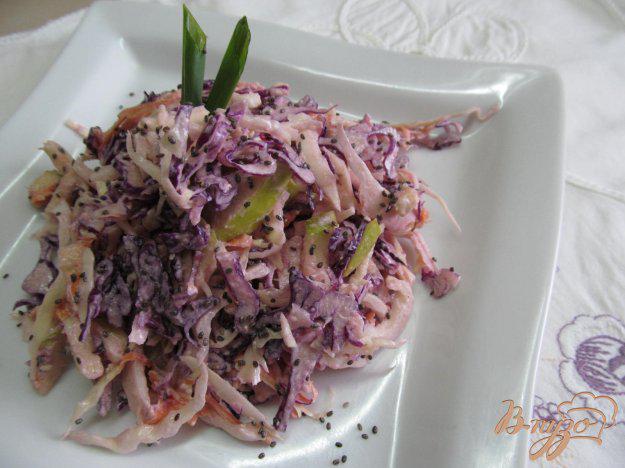 фото рецепта: Салат из капусты с яблоком и семенами чиа