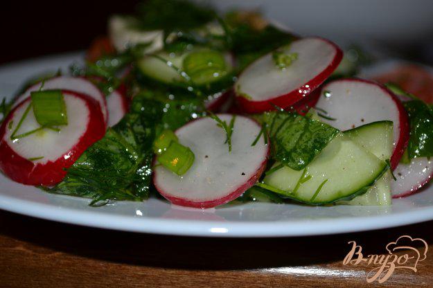 фото рецепта: Салат из редиса и зелени