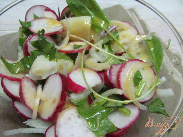 фото рецепта: Салат из картофеля и редиса