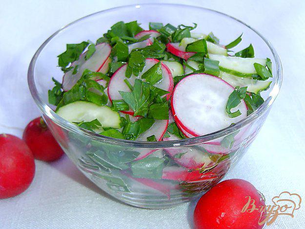 фото рецепта: Весенний салат из редиса, огурца и зелени