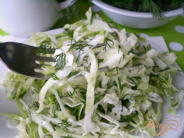 фото рецепта: Салат из молодой капусты с укропом и уксусом