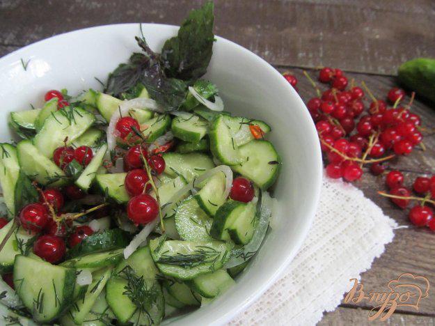 фото рецепта: Салат из огурца и красной смородины