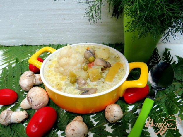 фото рецепта: Овощной суп с шампиньонами