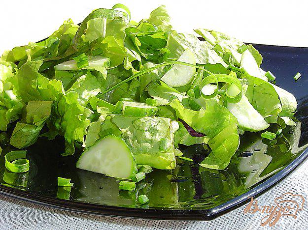 фото рецепта: Салат из огурцов, лука и салатных листьев
