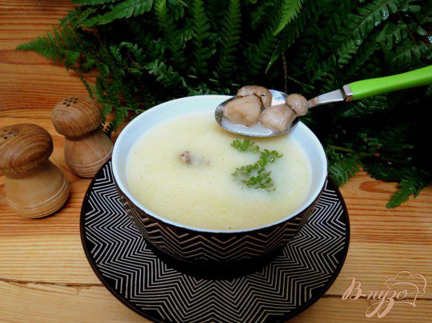 фото рецепта: Суп пюре с белыми грибами