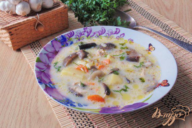 фото рецепта: Гречневый суп с опятами и сливками