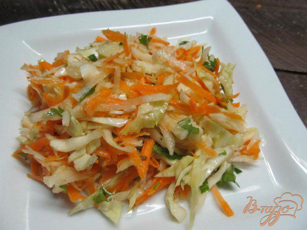 фото рецепта: Салат из капусты с редькой