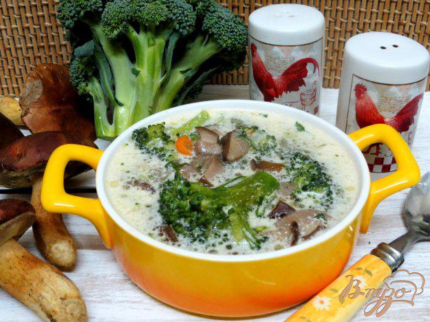 фото рецепта: Суп с брокколи и лесными грибами