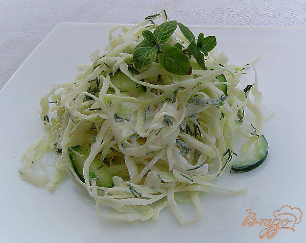 фото рецепта: Салат с капустой, мятой и огурцом