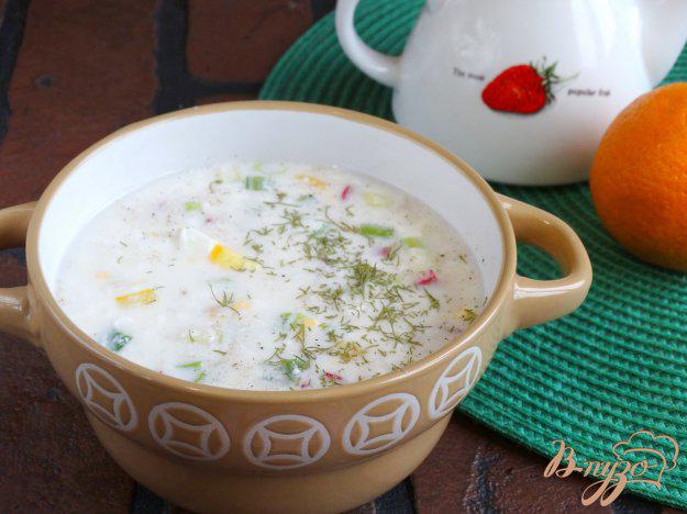 фото рецепта: Холодный овощной суп на кефире