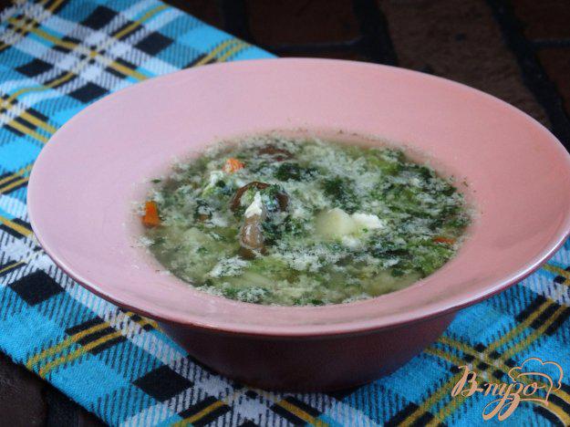 фото рецепта: Суп со шпинатом и опятами
