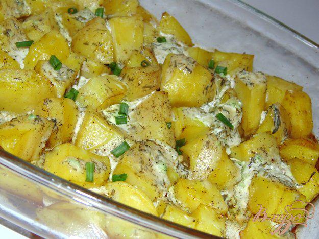 фото рецепта: Картофель в сметане с твердым сыром и зеленью