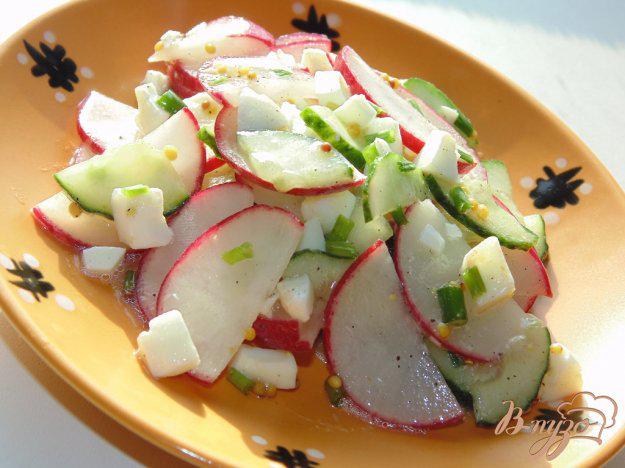 фото рецепта: Салат из редиса и огурца