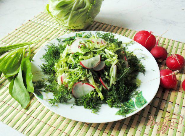 фото рецепта: Салат - микс из весенних овощей
