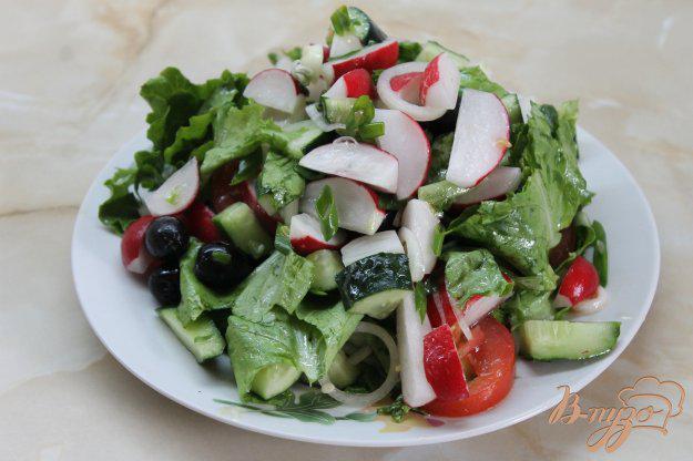 фото рецепта: Салат с редиса, листа салата и маслин