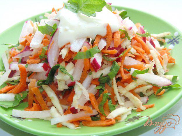 фото рецепта: Салат из редиса, моркови и сельдерея