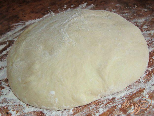 фото рецепта: Постное дрожжевое тесто на сыворотке для духовых пирожков