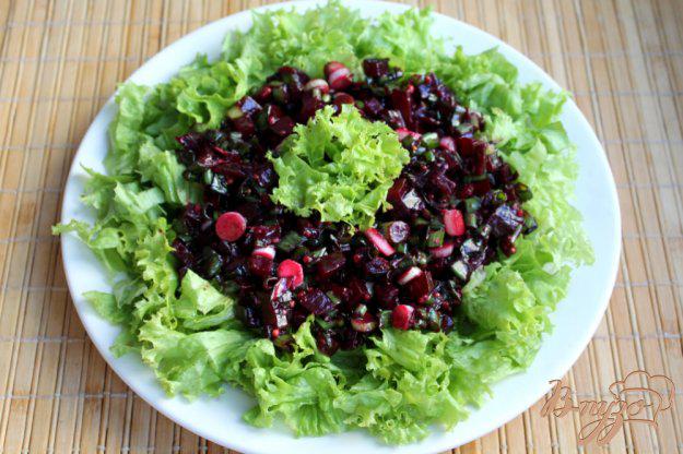 фото рецепта: Зеленый салат с маринованным луком и свеклой