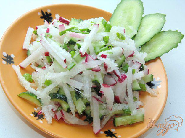 фото рецепта: Салат из редиса, дайкона и свежего огурца