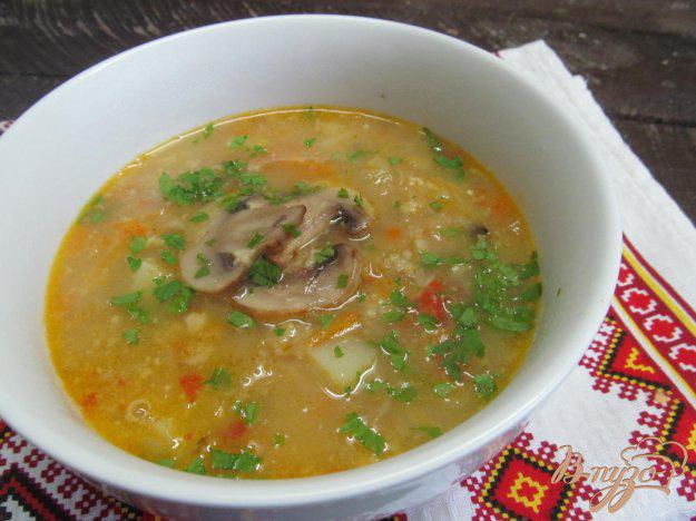 фото рецепта: Суп с кислой капустой черносливом и грибами